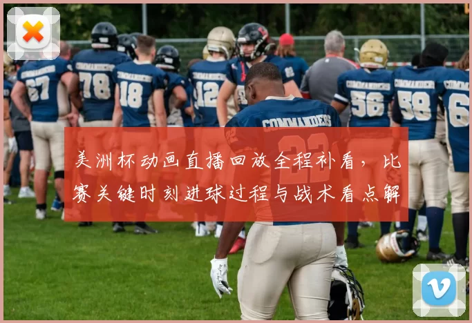 美洲杯动画直播回放全程补看，比赛关键时刻进球过程与战术看点解析