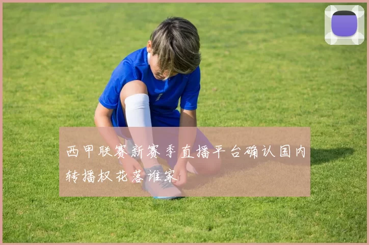 西甲联赛新赛季直播平台确认国内转播权花落谁家
