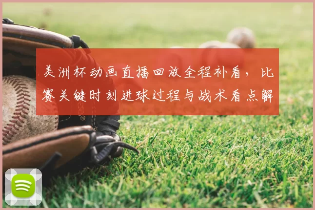 美洲杯动画直播回放全程补看，比赛关键时刻进球过程与战术看点解析